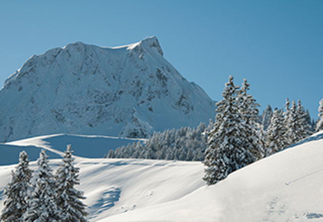 Ruhe pur